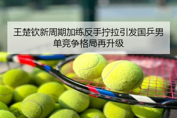 王楚钦新周期加练反手拧拉引发国乒男单竞争格局再升级